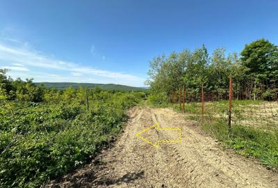 Teren Construcții intravilan de 748 mp, în Bârnova - 6