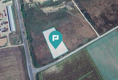 Teren Construcții intravilan de 10000 mp, în Ciumeghiu - 2