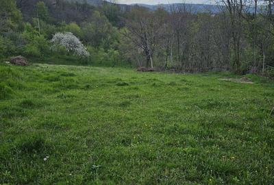 Spațiu comercial, în Central - 7