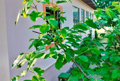 Casa ?i terenuri Ticleni, Gorj, str. Petrolistilor Casa ?i terenuri Ticleni, Gorj, str. Petrolistilor - 2