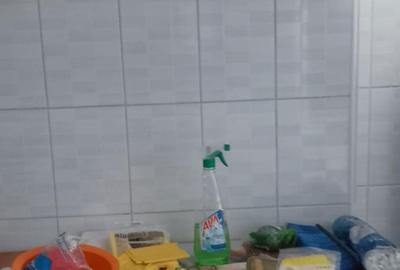 Garsonieră semidecomandată în Sârbi - 1