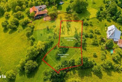 Spațiu comercial, în Bran - 6