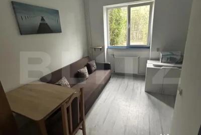 Garsonieră decomandată în Gruia - 4