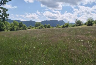 Teren agricol intravilan de 5630 mp, în Tohanu Nou