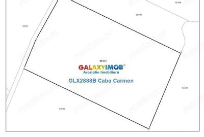 Teren de 25000 mp, în Nord - 6