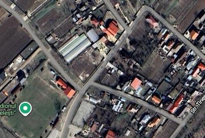 Teren de 1800 mp, în Beba Veche - 7