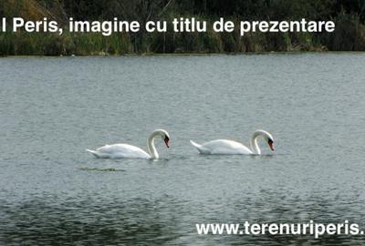 Terenuri IN RATE 500 /luna, teren 25 Peris, Tancabesti - 20