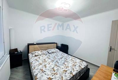 Casa Noua, Mobilata,Pod si Structura pentru Hala,Piscina-Sat Progresul - 10