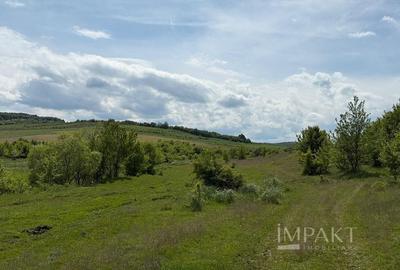 Teren de vânzare în Salistea Noua! - 4