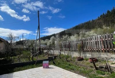 Casă individuală cu 2 camere cu Garaj în Ticu-Colonie - 11