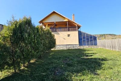 Vila 7 camere 320 mp- Valea Neagra-Prahova, mobilata/utilata complet! - 40