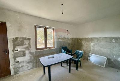Casa / Vila in Tifesti - 7