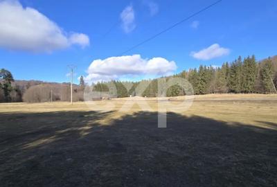 Teren de 19200 mp, în Brădet