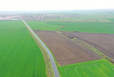 Teren industrial Dudestii Noi - 3