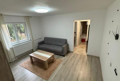 Prelungirea Ferentari, Profi, Livezilor - 3