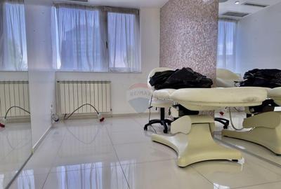 Spa?iu Premium de Inchiriat Herastrau, Ideal pentru C... - 3