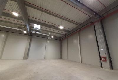 Catelu - Spatiu pentru depozitare cu temperatura controlata - 4