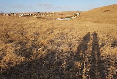 Teren Construcții intravilan de 33000 mp, în Calea Romanului