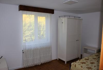Casa cu suflet si priveliste de poveste - Crasna, Gorj - 10
