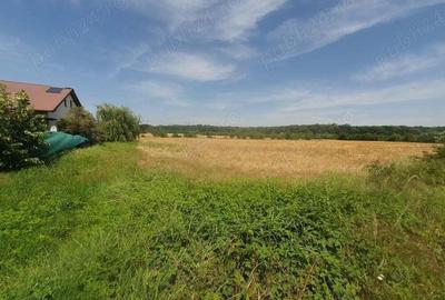 Teren situat in Balotesti,langa padure,acces drum pietruit, 28000 euro - 3