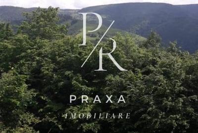 Teren Construcții extravilan de 10000 mp, în Măguri-Răcătău - 11