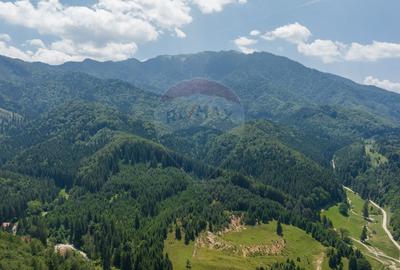Teren Construcții intravilan de 3000 mp, în Dâmbul Morii - 9