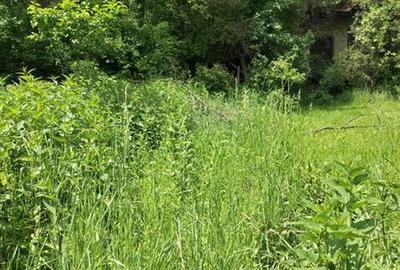 Casă cu 2 camere cu Teren 5090 Mp în Exterior Est - 12