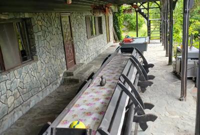 Teren de 10208 mp, în Eșelnița - 1