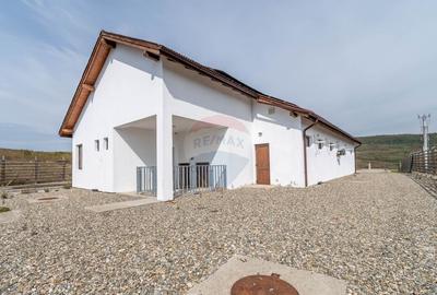 Ferma moderna de porci de vanzare in Curtuiusu Dejului Ferma moderna de porci de vanzare in Curtuiusu Dejului - 1