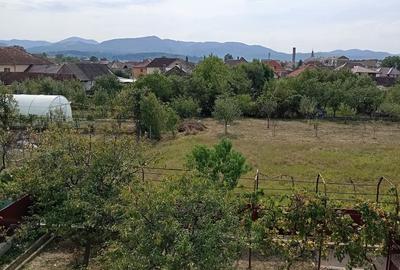 De vanzare casa construita pe 3 niveluri - 11