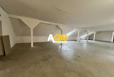 Spațiu Comercial, 400mp Nivel, Cetate - 5