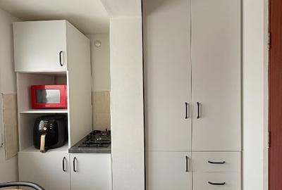 ÎNCHIRIERE APARTAMENT 2 CAMERE - CALEA BUZIAȘULUI, TIMIȘOARA - 8