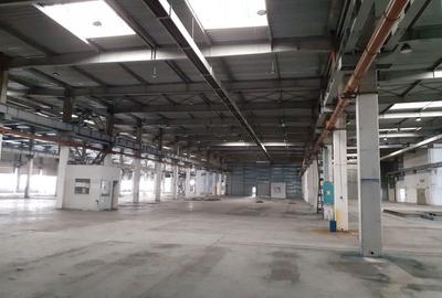 Spațiu comercial, de 2,920 mp, în Timișoara - 6