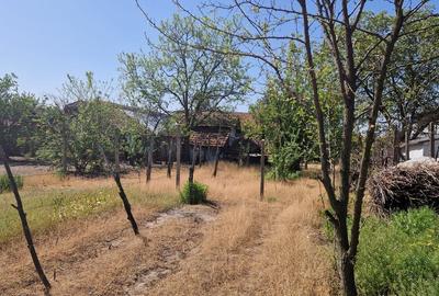 Casă cu 5 camere cu Teren 3937 Mp în Central - 16