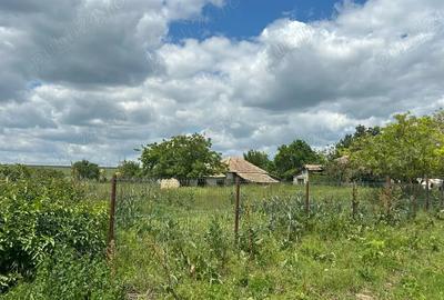 Vand tren cu casa nelocuibila - 4