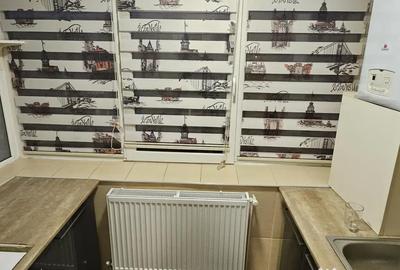 Apartament cu 2 camere decomandat în Paltiniș - 6