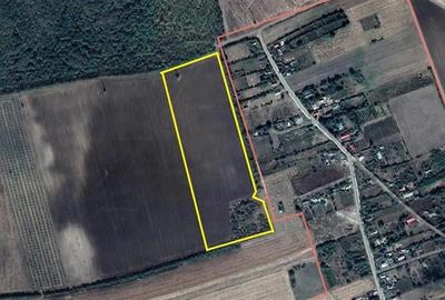 Teren agricol extravilan in  Crang (Com. Ciocani, jud. Vaslui) - 1