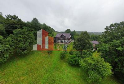 Vilă in Bran cu teren de 28.000 mp și priveliște spectaculoasa Vilă in Bran cu teren de 28.000 mp și priveliște spectaculoasa - 40