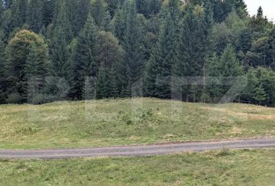 Teren intravilan de vanzare in Colibi?a oportunitate Teren intravilan de vanzare in Colibi?a oportunitate - 1