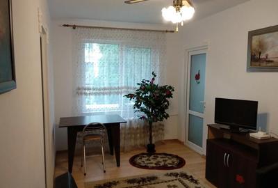 Apartament cu 2 camere semidecomandat în Brotăcei - 4
