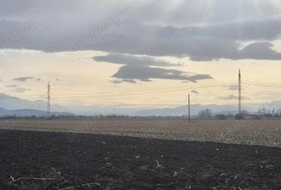 Teren de 45770 mp, în Stupini - 2