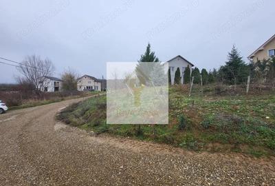 Teren de 647 mp, în Paleu