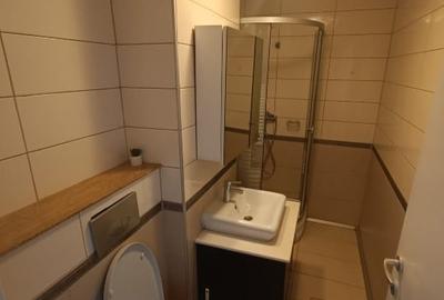 Apartament cu 2 camere decomandat, mobilat în Ștefăneștii de Jos - 5