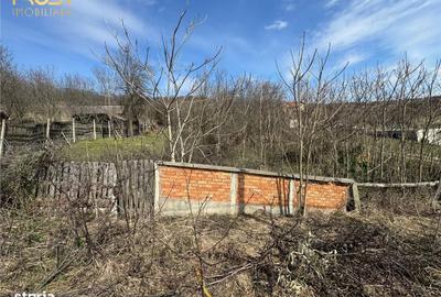 Spațiu comercial, în Corpadea - 4
