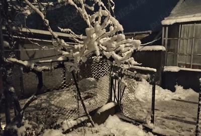 Casă în Zăgujeni - 5