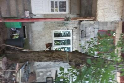 Casă individuală cu 6 camere cu Canalizare în Alexandriei - 2