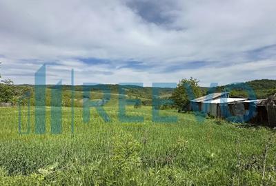 Teren de 5351 mp, în Roșiori - 2