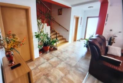 Vila Noua Mosnita Noua - 5