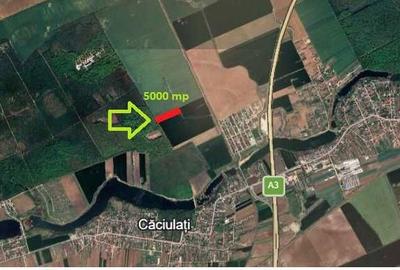 Spațiu comercial, în Căciulați - 2