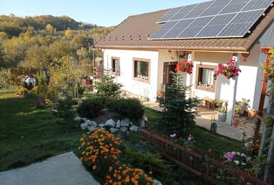 Casa individaual renovata, curte amenjata Boteni de Arges - 5